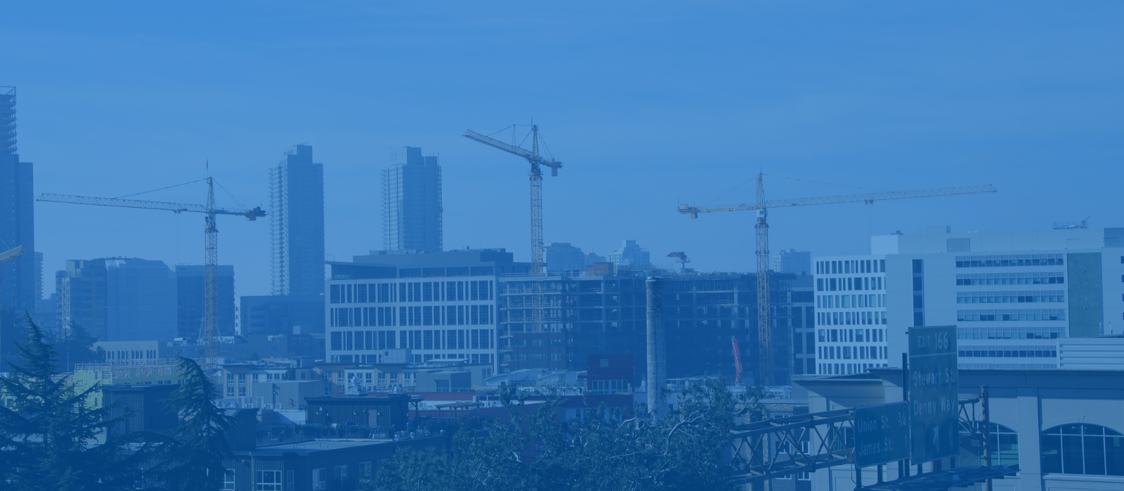 الجبل التاسع (1)